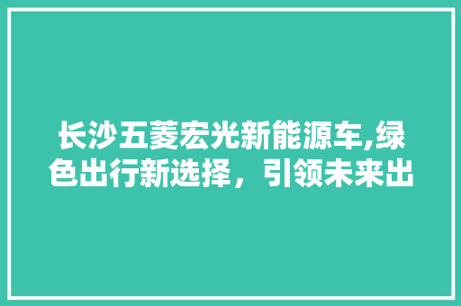 长沙五菱宏光新能源车,绿色出行新选择，引领未来出行潮流