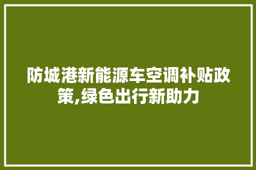 防城港新能源车空调补贴政策,绿色出行新助力