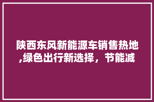 陕西东风新能源车销售热地,绿色出行新选择，节能减排新篇章