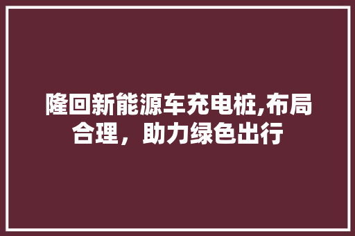 隆回新能源车充电桩,布局合理，助力绿色出行