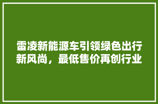 雷凌新能源车引领绿色出行新风尚，最低售价再创行业新低！