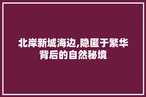 北岸新城海边,隐匿于繁华背后的自然秘境