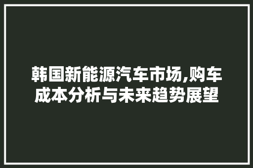 韩国新能源汽车市场,购车成本分析与未来趋势展望