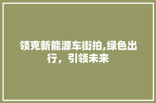 领克新能源车街拍,绿色出行，引领未来