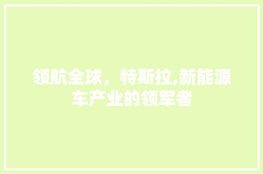 领航全球，特斯拉,新能源车产业的领军者