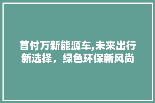 首付万新能源车,未来出行新选择，绿色环保新风尚