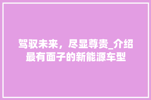 驾驭未来，尽显尊贵_介绍最有面子的新能源车型