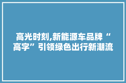 高光时刻,新能源车品牌“高字”引领绿色出行新潮流