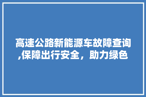 高速公路新能源车故障查询,保障出行安全，助力绿色出行