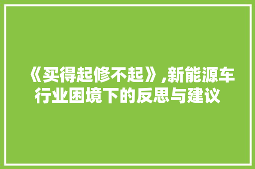 《买得起修不起》,新能源车行业困境下的反思与建议