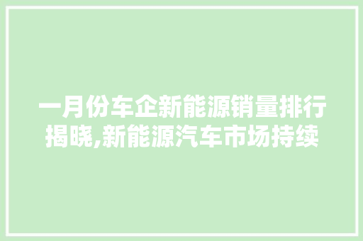 一月份车企新能源销量排行揭晓,新能源汽车市场持续火爆