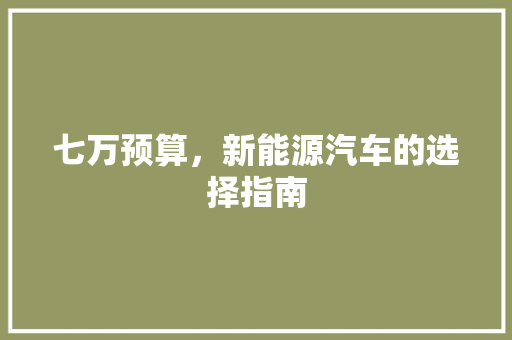 七万预算，新能源汽车的选择指南