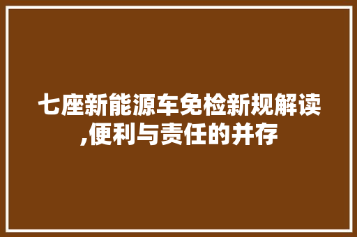 七座新能源车免检新规解读,便利与责任的并存