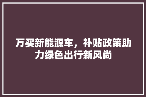 万买新能源车，补贴政策助力绿色出行新风尚