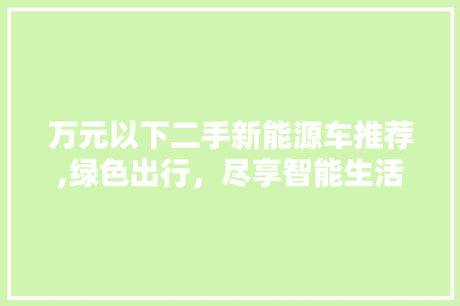 万元以下二手新能源车推荐,绿色出行，尽享智能生活