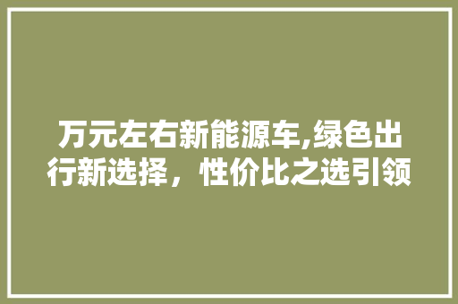 万元左右新能源车,绿色出行新选择，性价比之选引领潮流