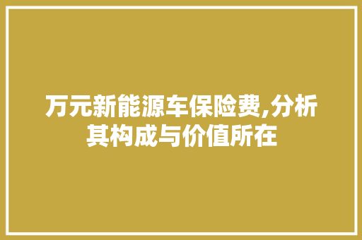 万元新能源车保险费,分析其构成与价值所在