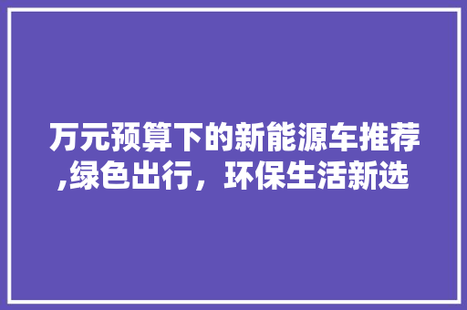 万元预算下的新能源车推荐,绿色出行，环保生活新选择