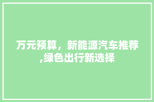 万元预算，新能源汽车推荐,绿色出行新选择