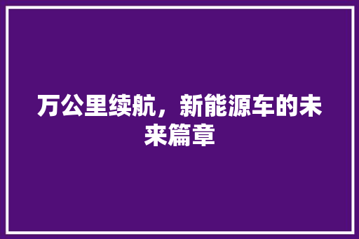 万公里续航，新能源车的未来篇章