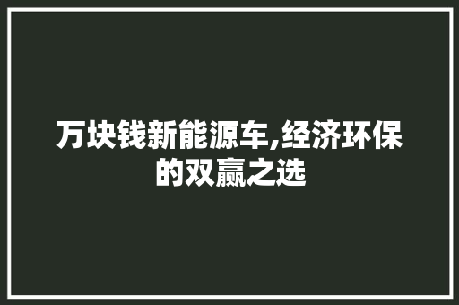 万块钱新能源车,经济环保的双赢之选