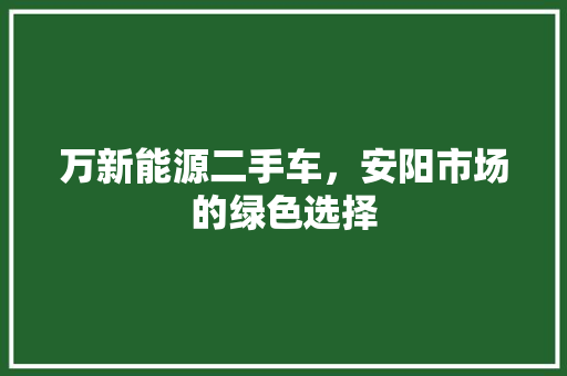 万新能源二手车，安阳市场的绿色选择