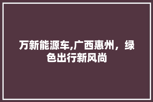 万新能源车,广西惠州，绿色出行新风尚