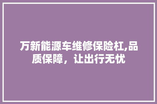 万新能源车维修保险杠,品质保障，让出行无忧