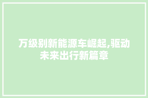 万级别新能源车崛起,驱动未来出行新篇章