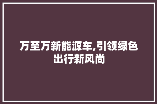 万至万新能源车,引领绿色出行新风尚