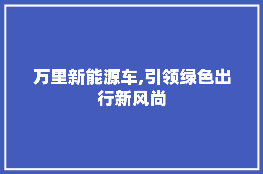 万里新能源车,引领绿色出行新风尚