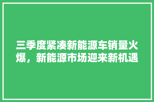 三季度紧凑新能源车销量火爆，新能源市场迎来新机遇