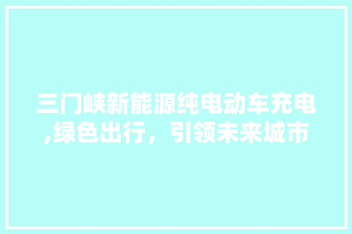 三门峡新能源纯电动车充电,绿色出行，引领未来城市生活