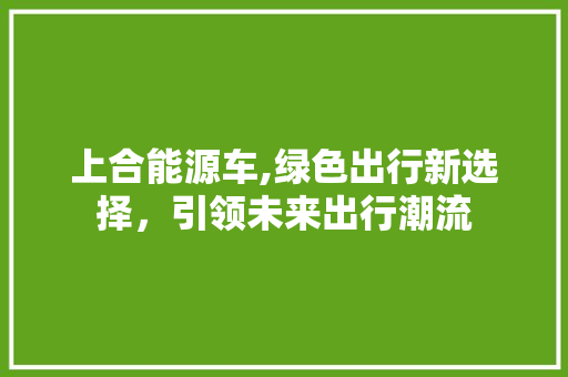 上合能源车,绿色出行新选择，引领未来出行潮流