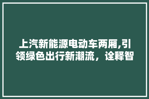 上汽新能源电动车两厢,引领绿色出行新潮流，诠释智能生活新境界