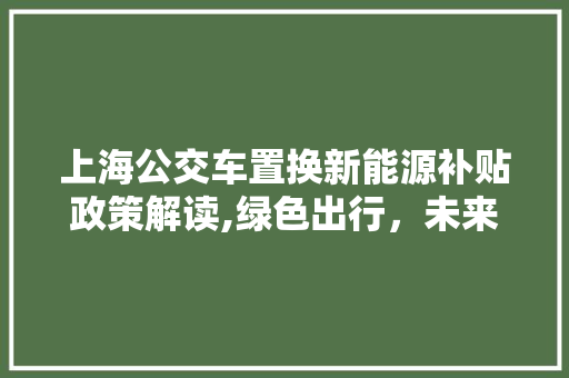 上海公交车置换新能源补贴政策解读,绿色出行，未来已来