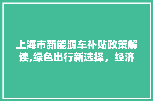 上海市新能源车补贴政策解读,绿色出行新选择，经济环保两不误