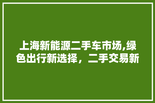 上海新能源二手车市场,绿色出行新选择，二手交易新风口