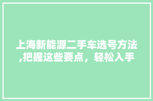 上海新能源二手车选号方法,把握这些要点，轻松入手心仪座驾