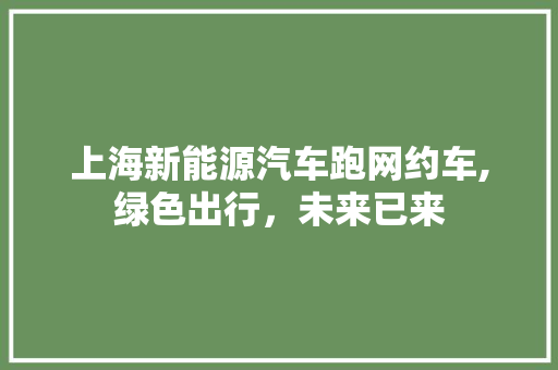 上海新能源汽车跑网约车,绿色出行，未来已来