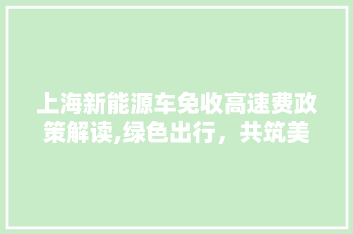 上海新能源车免收高速费政策解读,绿色出行，共筑美好未来