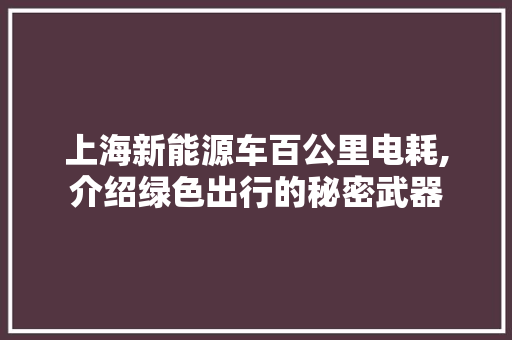 上海新能源车百公里电耗,介绍绿色出行的秘密武器