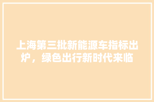 上海第三批新能源车指标出炉，绿色出行新时代来临