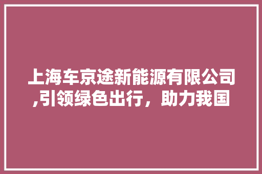 上海车京途新能源有限公司,引领绿色出行，助力我国新能源汽车产业发展