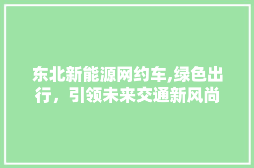 东北新能源网约车,绿色出行，引领未来交通新风尚