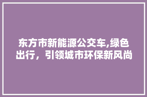 东方市新能源公交车,绿色出行，引领城市环保新风尚