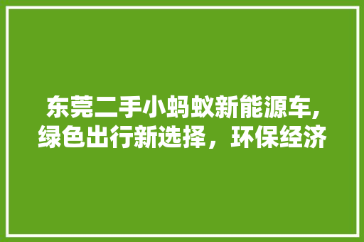 东莞二手小蚂蚁新能源车,绿色出行新选择，环保经济双赢