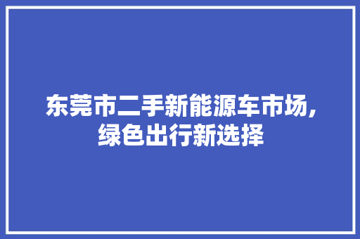 东莞市二手新能源车市场,绿色出行新选择