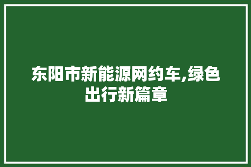 东阳市新能源网约车,绿色出行新篇章