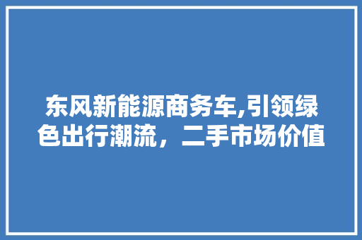 东风新能源商务车,引领绿色出行潮流，二手市场价值凸显